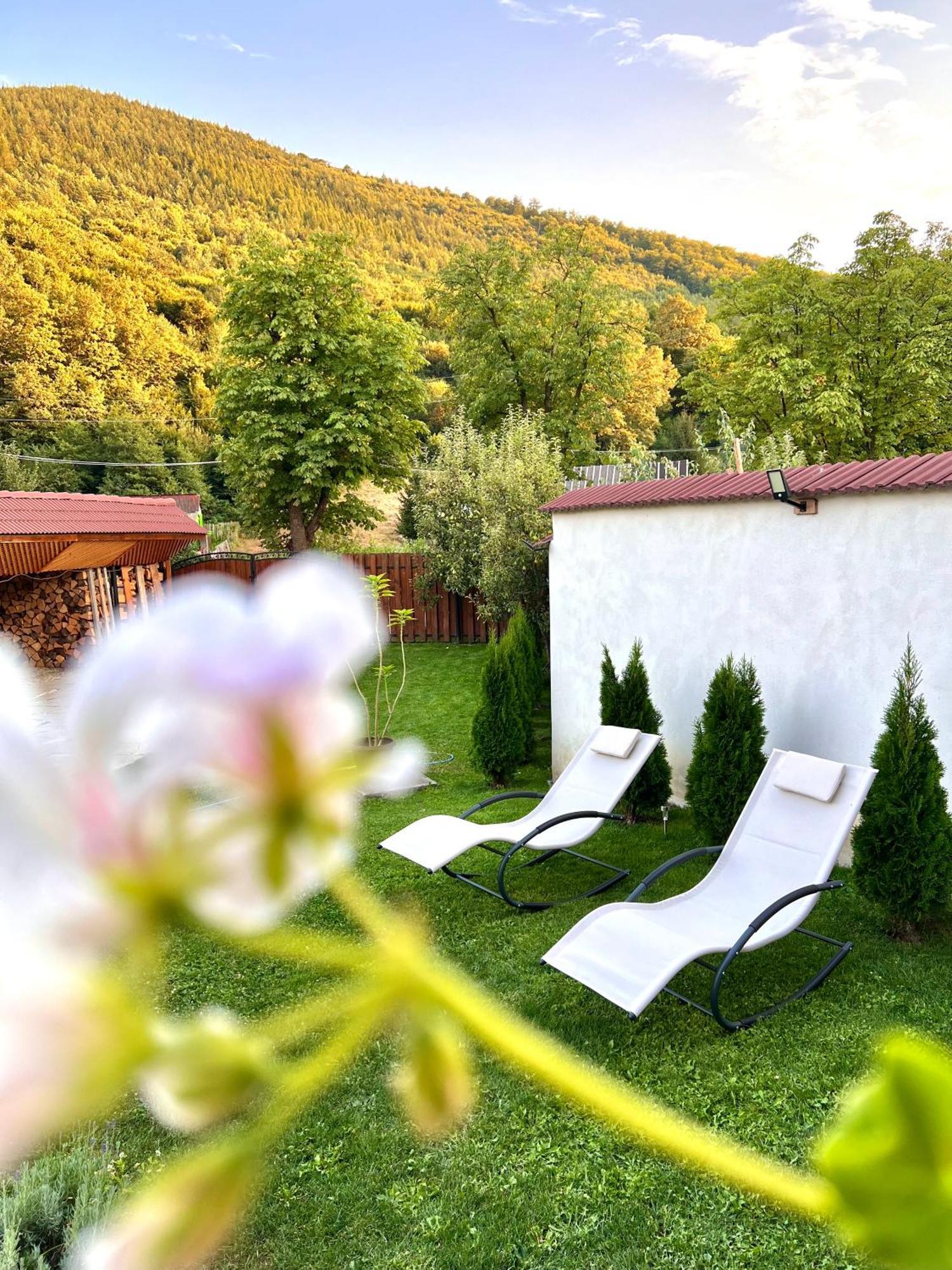 Casa Alexandra Villa Gales Exteriör bild